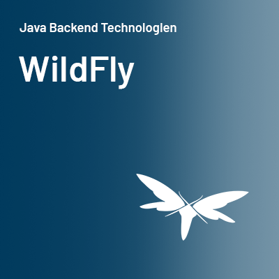 Technologie Java Backend WildFly