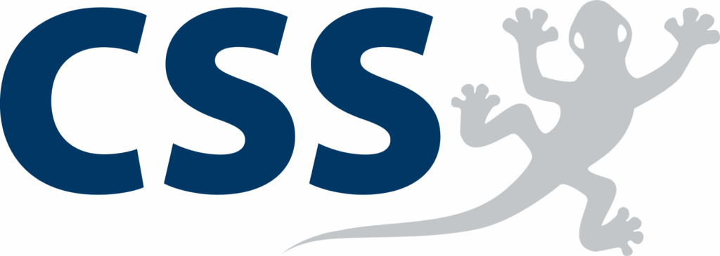 CSS Logo