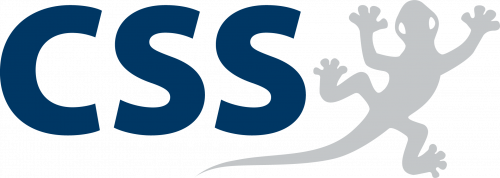 CSS Logo